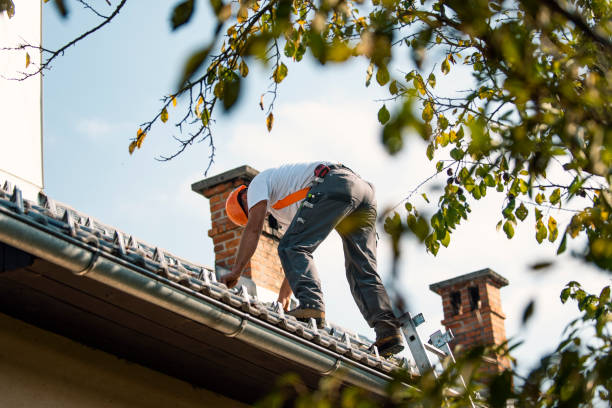 Best Tile Roofing Contractor  in Occoquan, VA