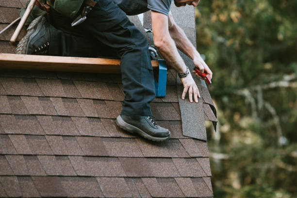 Best Roof Gutter Cleaning  in Occoquan, VA