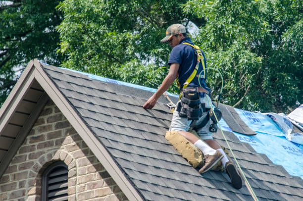 Best Roof Waterproofing Services  in Occoquan, VA